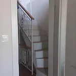 Dalgaci Deniz Ayvalı