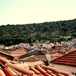 Dalgaci Deniz Ayvalı