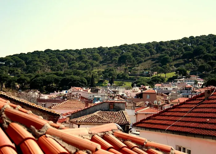 Dalgaci Deniz Ayvalı